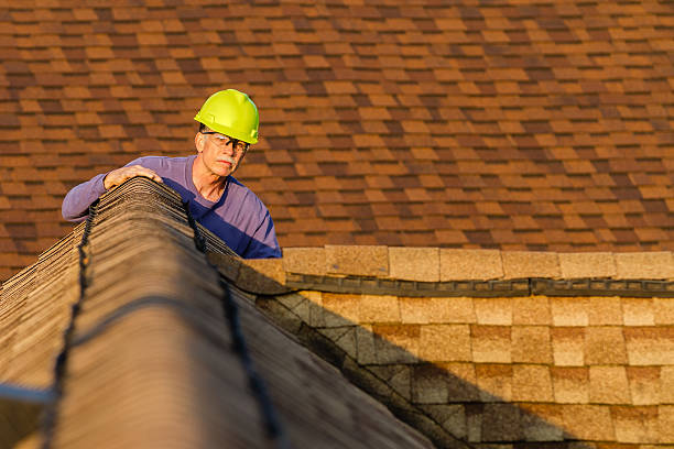 Roof Gutter Cleaning in Ocean Acres, NJ